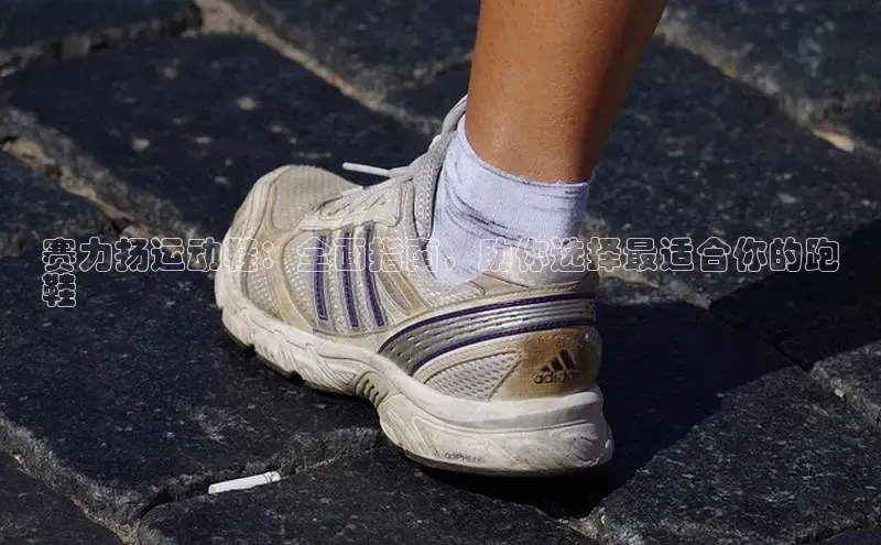 意昂2登录百度网盘赛力扬运动鞋：全面指南，助你选择最适合你的跑
鞋