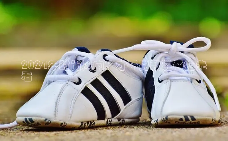 意昂2代理百度识图2024年时尚风向：才子男款鞋子抢先
看