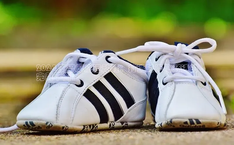 意昂2官网百度Apollo2024 潮流厚底运动鞋：打造时尚与舒适的
完美平衡