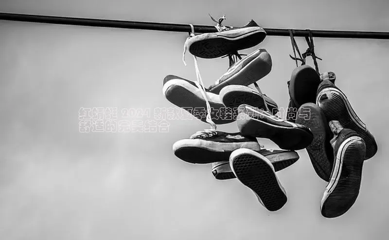 意昂2江铃新能源红蜻蜓 2024 新款夏季女鞋系列：时尚与
舒适的完美结合