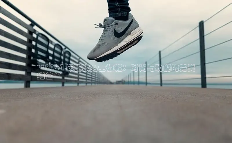 意昂2登录地址百度人工翻译**2024 年新款男士板鞋：时尚与功能的完美
结合**