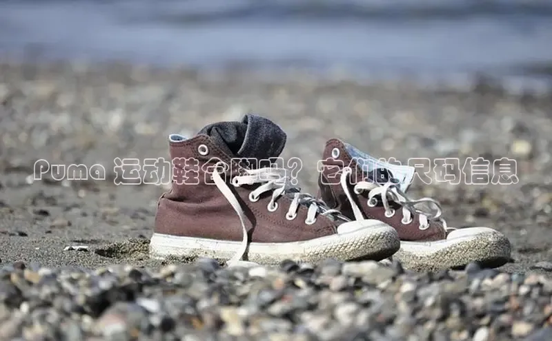 意昂2开户每日互动Puma 运动鞋合脚吗？它们的尺码信息