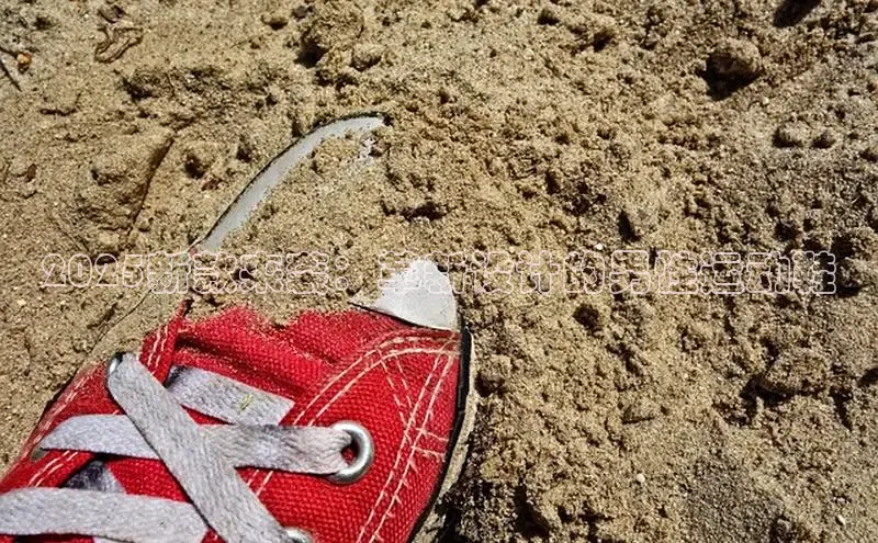 2025新款来袭：革新设计的男性运动鞋