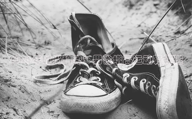 2025年时尚趋势：男性增高运动鞋精选